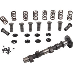 PartzBiz CE 8111203113 - Engle racing master camshaft set