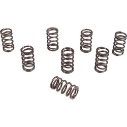 PartzBiz CE 8111356413 - Valve spring set, single