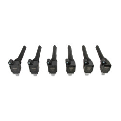 PartzBiz CM 827063 - MSD Ignition Coil - Ford EcoBoost - 3.5L V6 - Black - 6-Pack